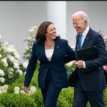 Who could challenge Harris for Democratic nomination?